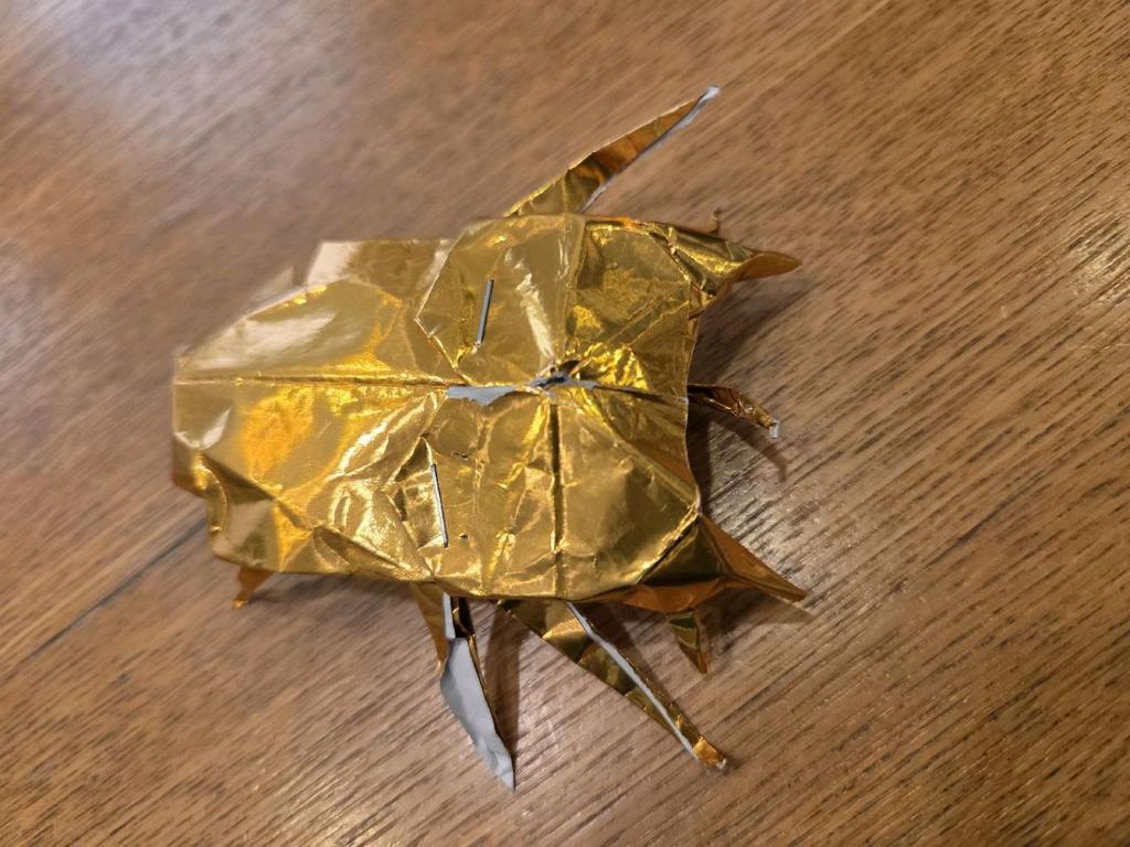 ゴホンヅノカブトムシ