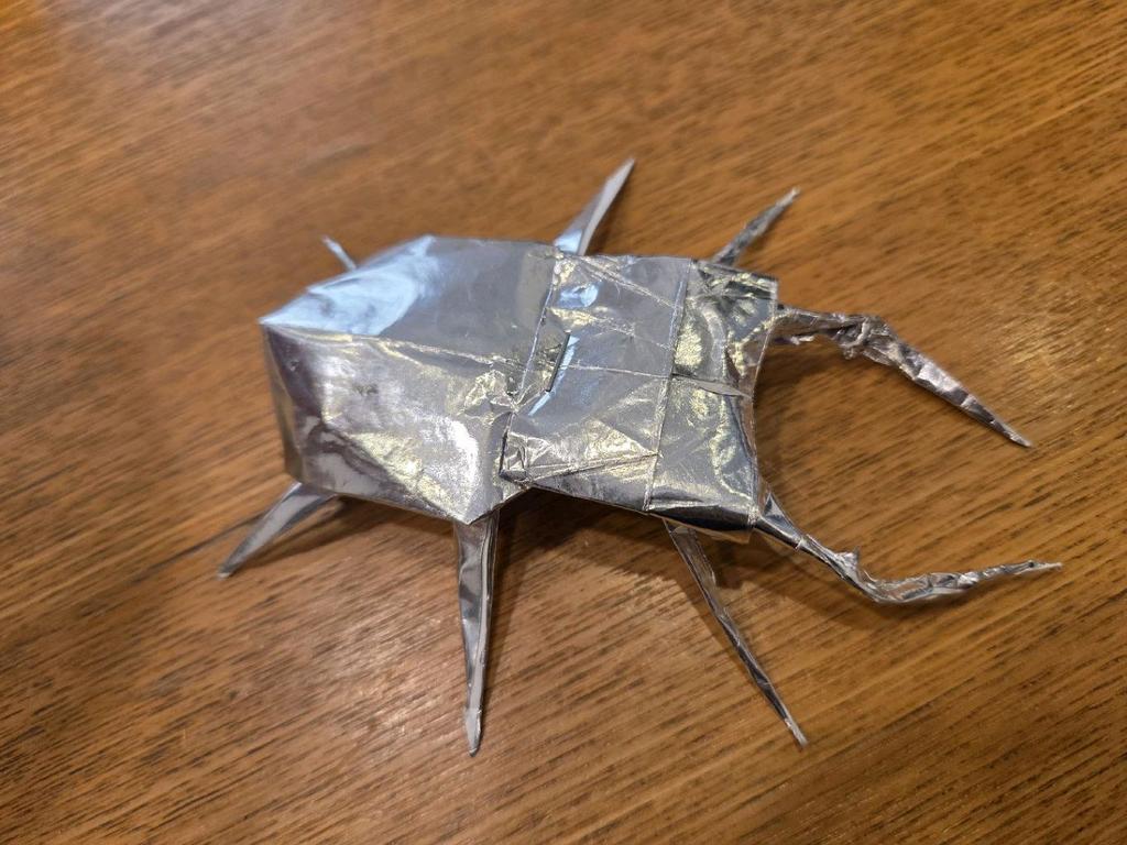 エラフスホソアカクワガタ